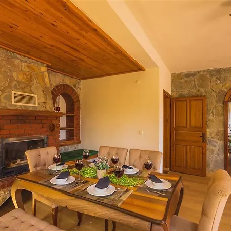 빌라 Kayakoey'de Oezel Havuzlu Muhafazakar Kaya