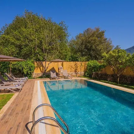 Kayakoey'de Oezel Havuzlu Muhafazakar Kaya