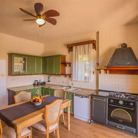 Villa Kayaköy'de özel Havuzlu Muhafazakar Kaya *