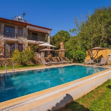 Kayakoey'de Oezel Havuzlu Muhafazakar Kaya Villa