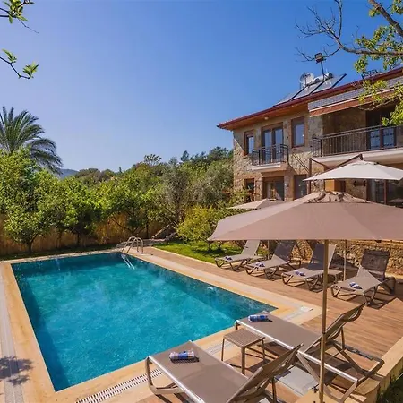 Villa Kayakoey'de Oezel Havuzlu Muhafazakar Kaya *