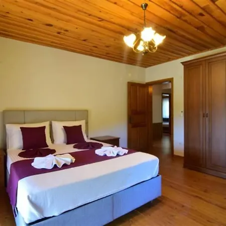 Kayakoey'de Oezel Havuzlu Muhafazakar Kaya Villa *