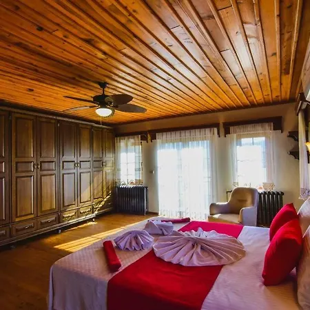 Villa Kayakoey'de Oezel Havuzlu Muhafazakar Kaya *