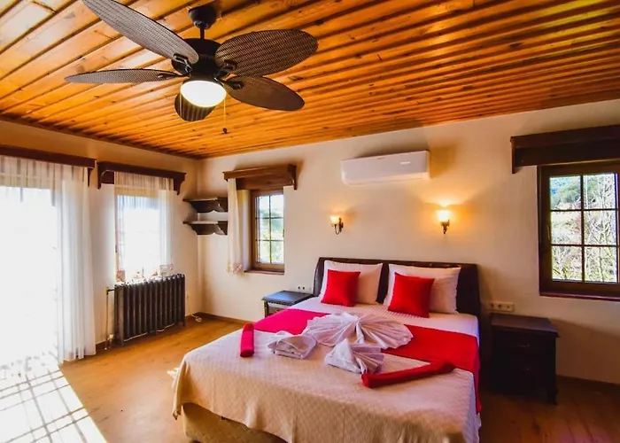 Kayakoey'de Oezel Havuzlu Muhafazakar Kaya * Fethiye