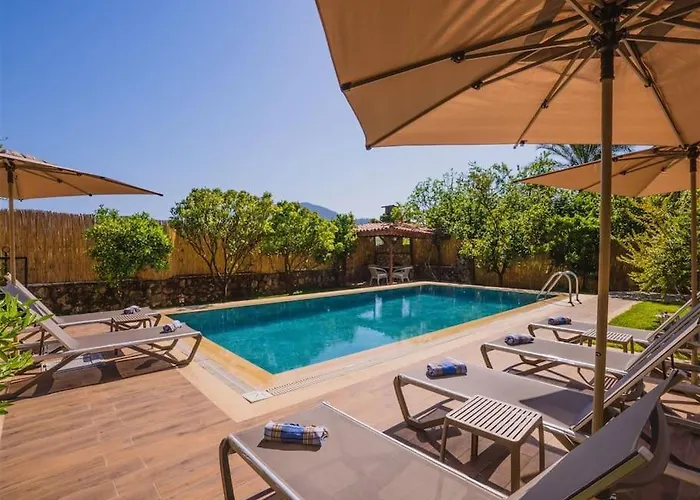 Kayakoey'de Oezel Havuzlu Muhafazakar Kaya Villa *