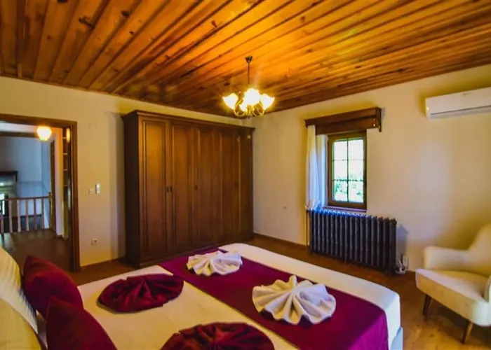 Kayakoey'de Oezel Havuzlu Muhafazakar Kaya Villa