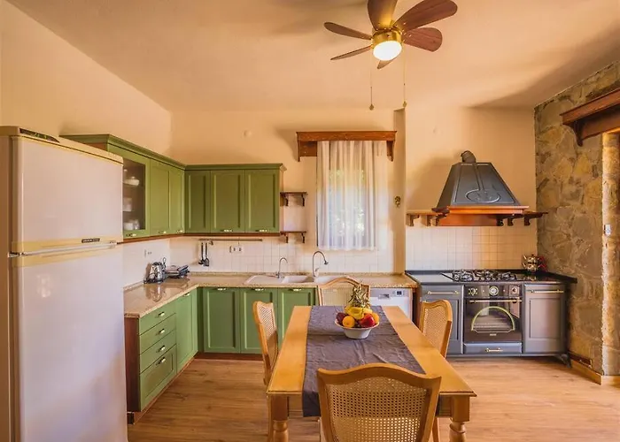 Villa Kayakoey'de Oezel Havuzlu Muhafazakar Kaya