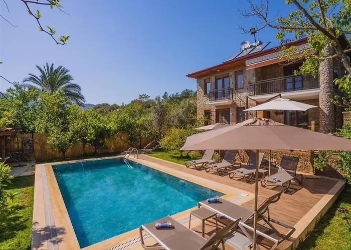 Villa Kayakoey'de Oezel Havuzlu Muhafazakar Kaya *